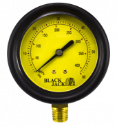 Pressure Gauge 10-60 psi Lexan Lens