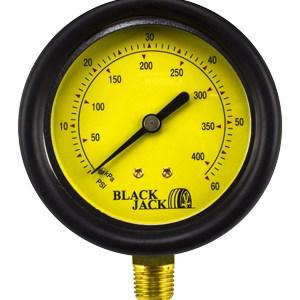 Pressure Gauge 10-60 psi Lexan Lens